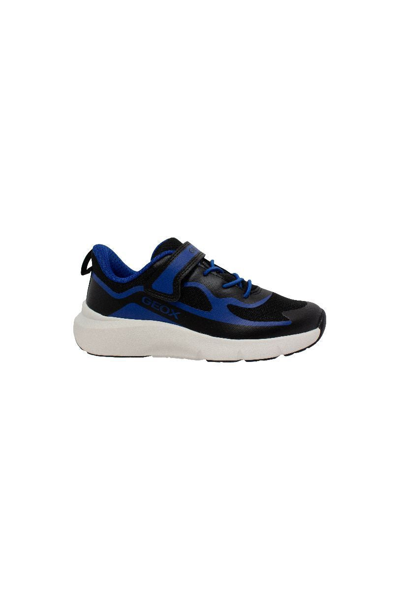 BLEU ROYAL